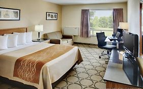 Comfort Inn East